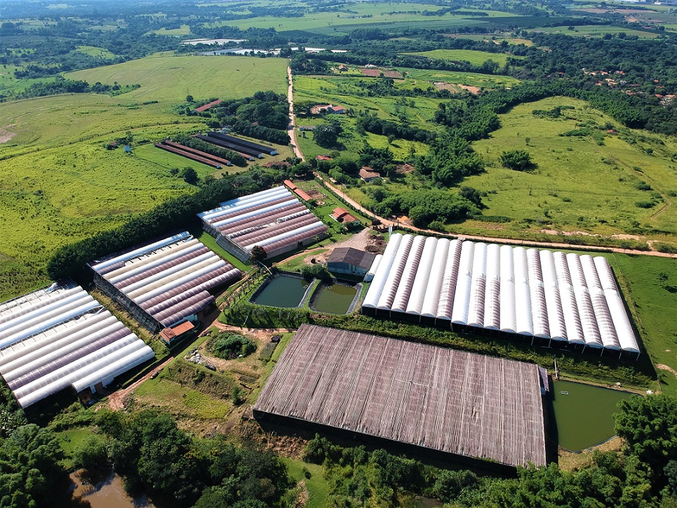 Holambra, SP