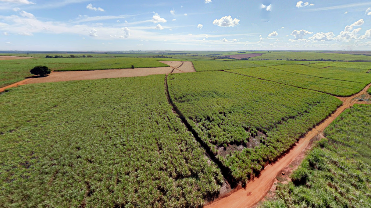 Jaboticabal, SP