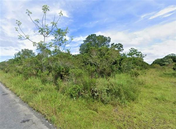 Terrenos de 300m² e 1.000m² | Loteamento Jardim Pesqueiro | Litoral Sul Paulista