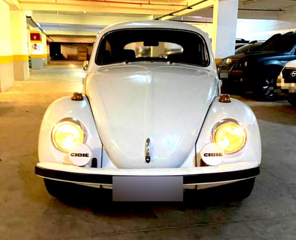 VW/1600S BIZORRÃO - 1975/1975