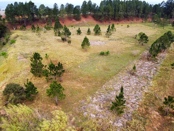 Área urbana com 63.500m² | terraplenagem pronta | plana