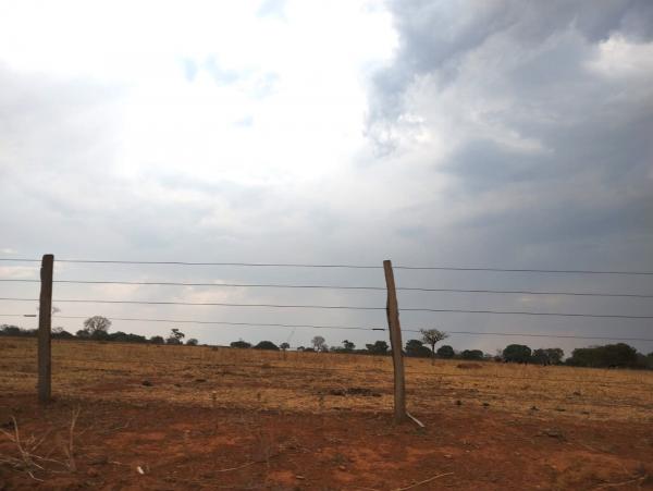 FAZENDA em Trindade-GO com 159 hectares Alienaçao Fiduciaria