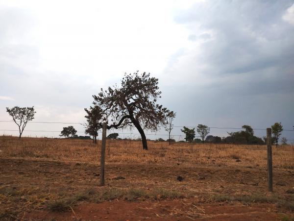 FAZENDA em Trindade-GO com 159 hectares Alienaçao Fiduciaria
