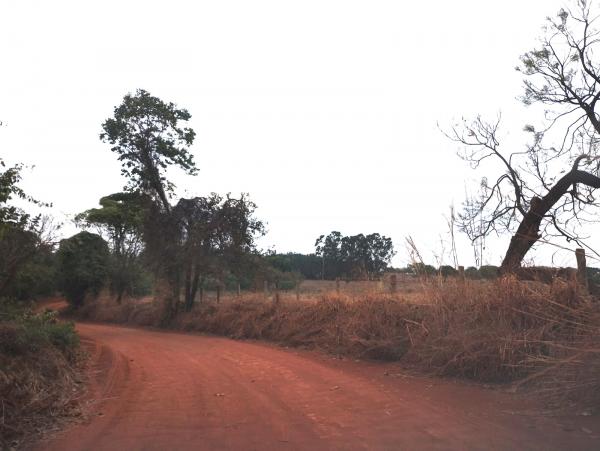 FAZENDA em Trindade-GO com 159 hectares Alienaçao Fiduciaria