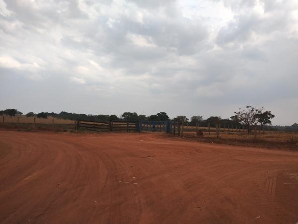 FAZENDA em Trindade-GO com 159 hectares Alienaçao Fiduciaria