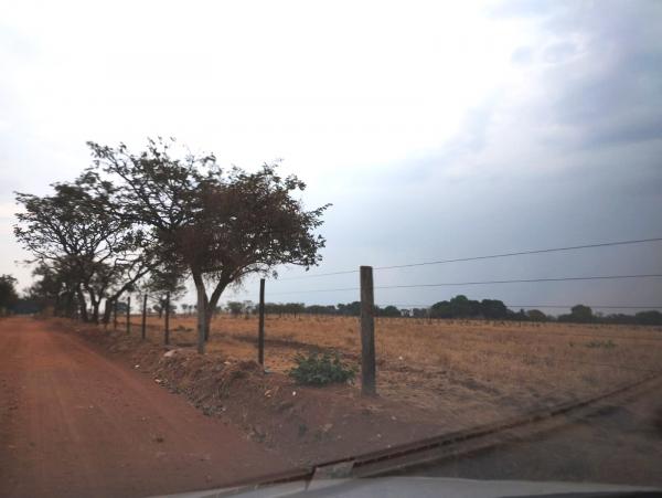 FAZENDA em Trindade-GO com 159 hectares Alienaçao Fiduciaria