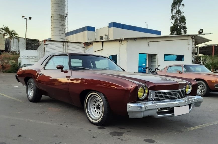 Chevrolet/Monte Carlo - 1973/1973