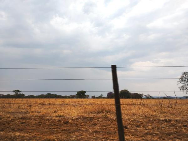 FAZENDA em Trindade-GO com 159 hectares Alienaçao Fiduciaria