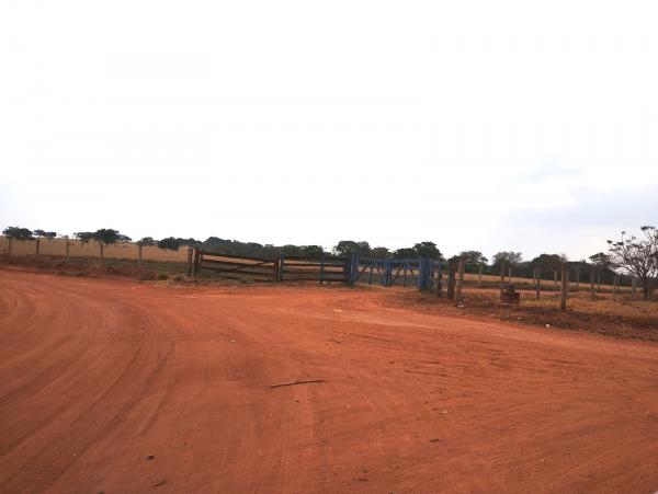 FAZENDA em Trindade-GO com 159 hectares Alienaçao Fiduciaria