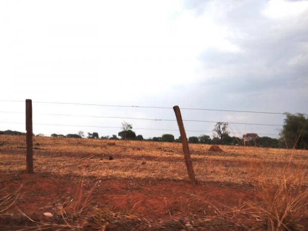 FAZENDA em Trindade-GO com 159 hectares Alienaçao Fiduciaria